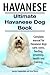 Havanese Dogs. Complete manual for Havanese dogs care, grooming, costs, feeding, training and health. Ultimate Havanese Book.