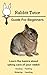 Rabbit Guide For Beginners by Rabbit Tutor