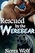 Rescued by the Werebear (BBW alpha male shape shifter fertile romance)