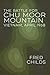 The Battle for Chu Moor Mountain by Fred Childs