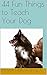 44 Fun Things to Teach Your Dog