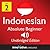 Learn Indonesian - Level 2:...