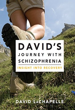 David's Journey with Schizophrenia: Insight into Recovery (David's Trilogy with Schizophrenia Book 2)