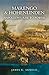 Marengo & Hohenlinden: Napoleon's Rise to Power