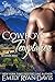 Cowboy's Temptation (The Carvers, #2)