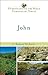 John (Understanding the Bible Commentary Series)