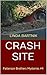 Crash Site: (Patterson Brothers Mysteries Book 4)