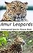 Amur Leopard - Endangered Species Picture Book