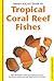 Handy Pocket Guide to Tropical Coral Reef Fishes by Gerald Allen