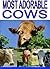 Most Adorable Cows
