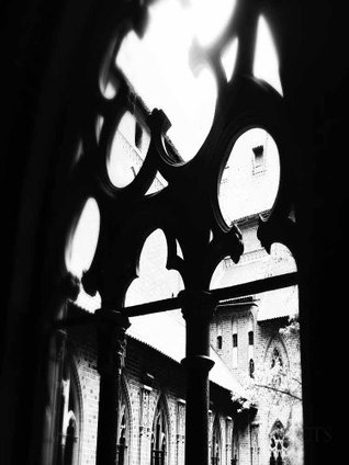 Our Lady’s Assumption (Kindle Edition)