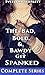 The Bad, Bold, and Bawdy Get Spanked - Complete Series 1-3