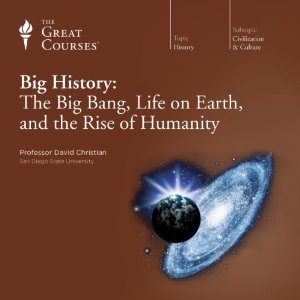 Big History: The Big Bang, Life On Earth, And The Rise Of Humanity
