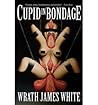 Cupid in Bondage