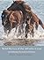 Wild Horses of the Atlantic Coast:  An Intimate Portrait [Kindle Edition]