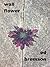 Wall Flower by Ed Bremson