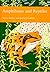 Amphibians and Reptiles: A Detailed Non-Fiction Guide to the Herpetology of Britain (Collins New Naturalist Library Book 87)