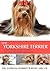The Yorkshire Terrier: A vet's guide on how to care for your Yorkshire Terrier dog