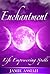 Enchantment by Jamie Assiah