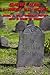 Cemetery Crawl - A Journey into History by Cynthia Southern