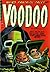 Voodoo Comic Book by Ruth A. Roche
