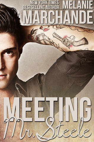 Meeting Mr. Steele (A Novel Deception, #3)