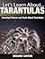 Tarantulas: Amazing Pictures and Facts About Tarantulas (Let's Learn About)