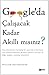 Google'da Çalışacak Kadar Akıllı mısınız?