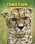 Cheetahs by Charlotte Guillain