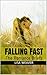 Falling Fast: The Romance Briefs Volume One