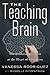 The Teaching Brain: An Evolutionary Trait at the Heart of Education