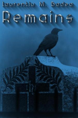 Capa do Livro Remains