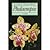 Phalaenopsis.