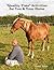"Quality Time" Activities for You & Your Horse