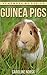 Guinea Pig: Amazing Photos ...