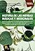 Historia de las hierbas mágicas y medicinales (Spanish Edition)