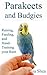 Parakeets And Budgies – Rai...