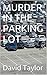 MURDER IN THE PARKING LOT (RICHARD STONE MYSTERIES #1)