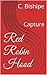 Red Robin Hood: Capture