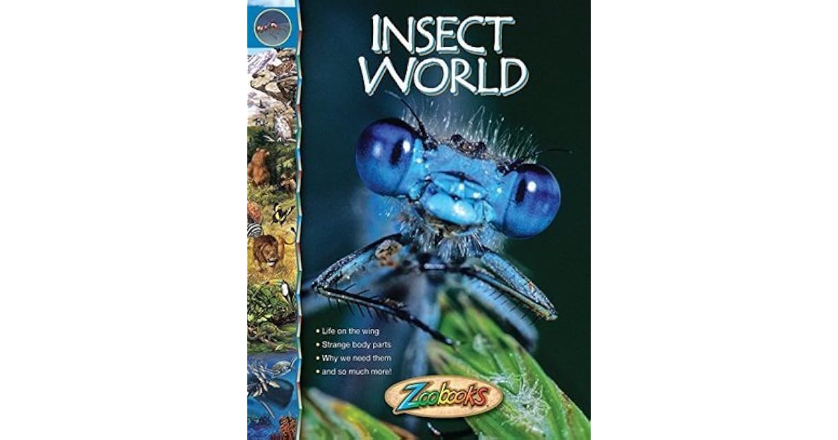 Zoobooks Insect World by Wildlife Education Ltd.
