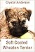 Soft Coated Wheaten Terrier: How to Own, Train and Care for Your Soft Coated Wheaten Terrier