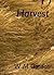 Harvest (Seashore Book 3)