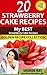 20 Strawberry Cake Recipes: My Best Strawberry Cake Recipes Cookbook