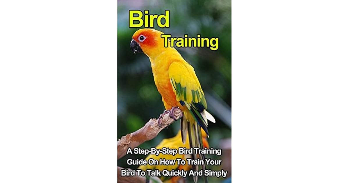 Bird Training A StepByStep Bird Training Guide On How To Train Your