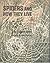 Spiders and How They Live (P-H Junior Research Books)