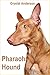 Pharaoh Hound: How to Own, Train and Care for Your Pharaoh Hound