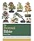 The Bonsai Bible: The definitive guide to choosing and growing bonsai