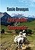 Pack Saddles & Gunpowder (Dusty Rose Series Book 1)