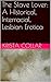 The Slave Lover: A Historical, Interracial, Lesbian Erotica