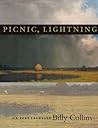 Picnic, Lightning